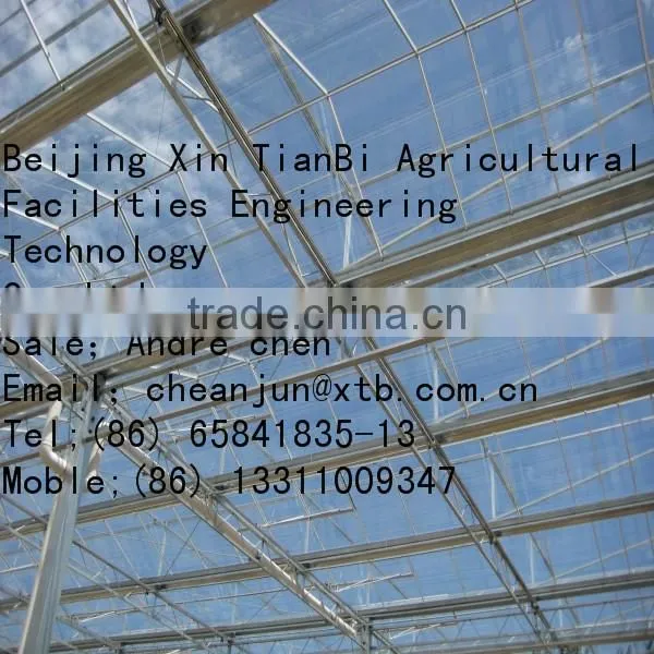 Glass Greenhouse for Agricultural