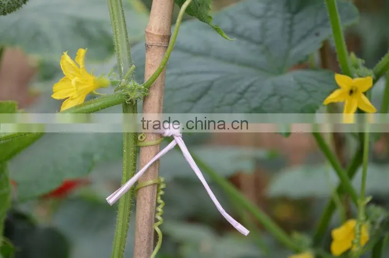 Kraft Paper Twist Rope For Automatic Binding Tools