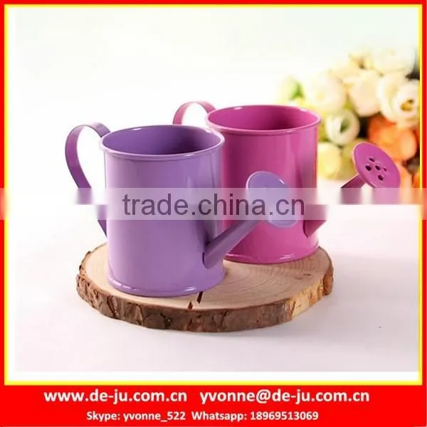 Watering Cans Flower Pot Decoration