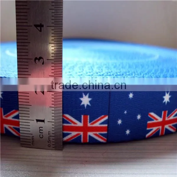 Custom Printed 1inch dog collar webbing wholesale