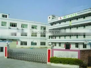 Shenzhen Levin Toys & Gifts Co., Limited company overview - view 1