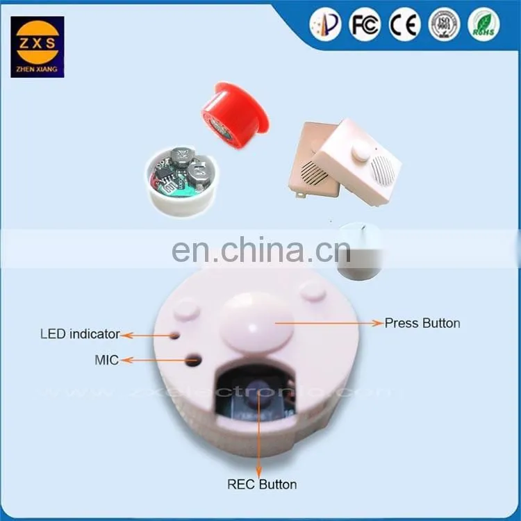 Recordable sound module for toys and dolls