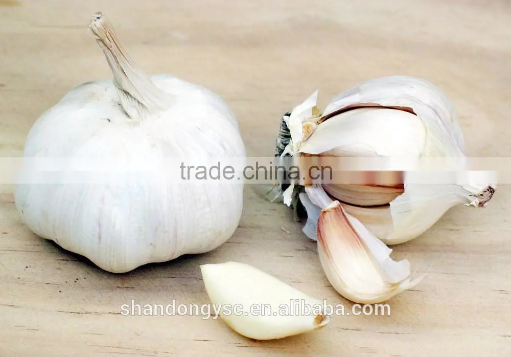 pure white garlic