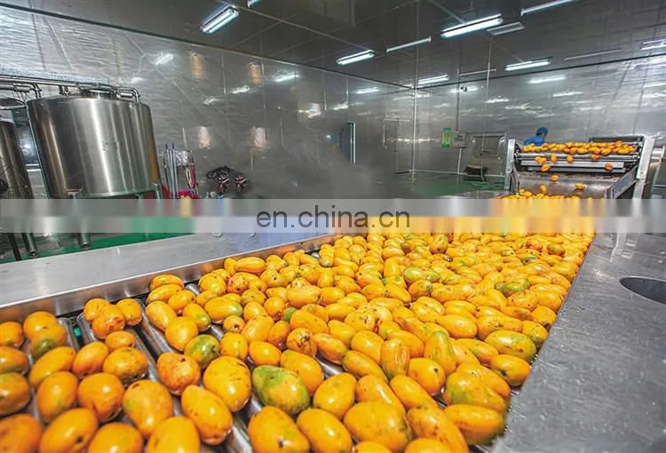 Shanghai Genyond mango processing machine for dry chips