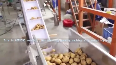 Mesh Net Bag Packing Machine for Edamame Garlic Onion Potato Sweet Potato