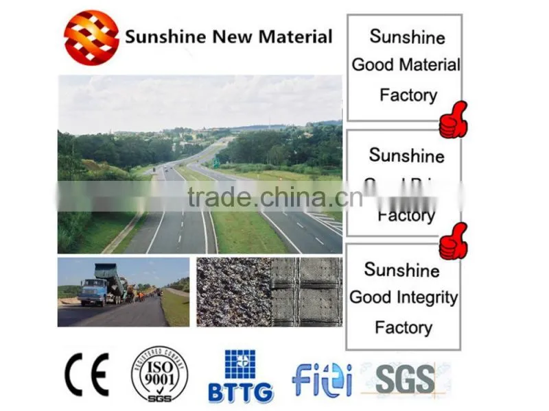 100-30KN/M High quality best price black polyester geogrid