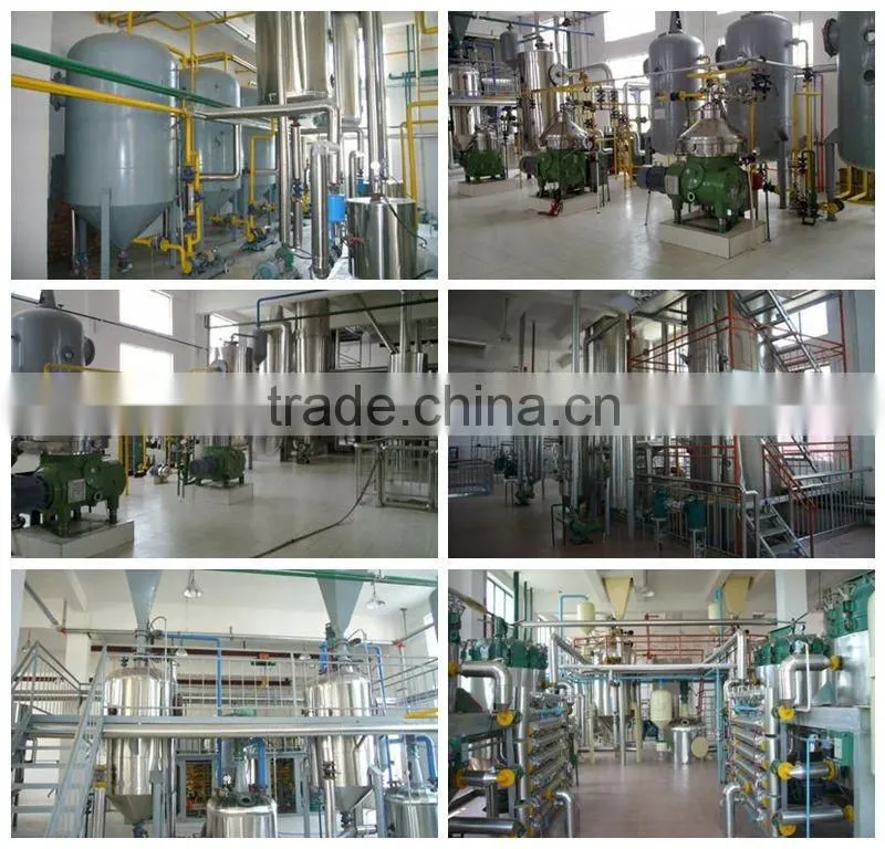 China Hot sale Biodiesel b100 Making Machine Price With Patent