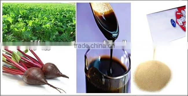 best quality high sugar and low sugar active dry instant yeast manufacturers