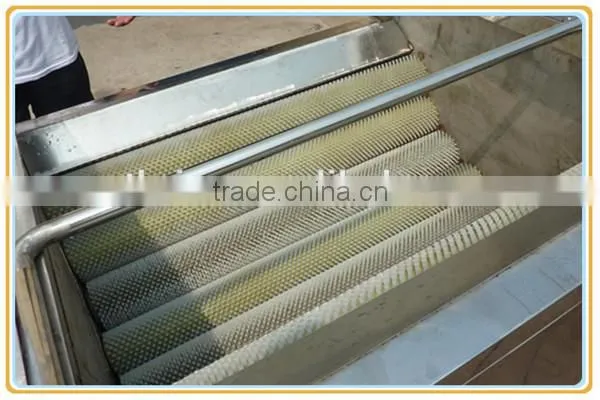 leaf vegetable carrot onion potato brush washing machine