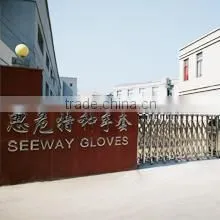 Zhejiang Seeway Gloves Co., Ltd. company overview - view 1