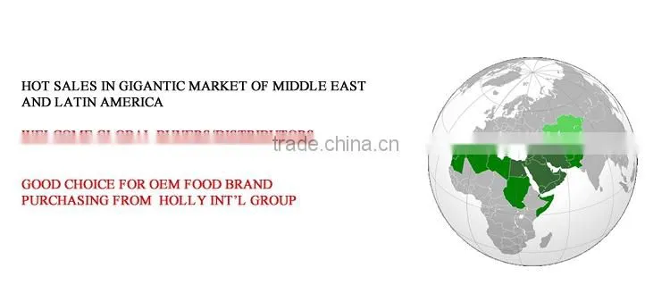 5kg 20kg mesh bag fresh red onion 4-7cm 5-8cm ASEAN southest asia middle east Arabic Pakistan