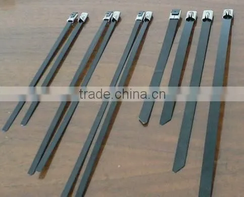Stainless Steel Tie (ladder type ) 12*200