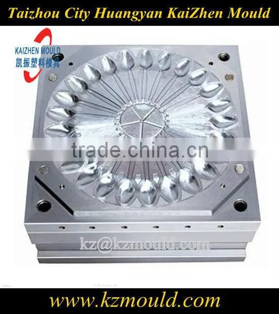 Home commodity injection plastic ladle mould