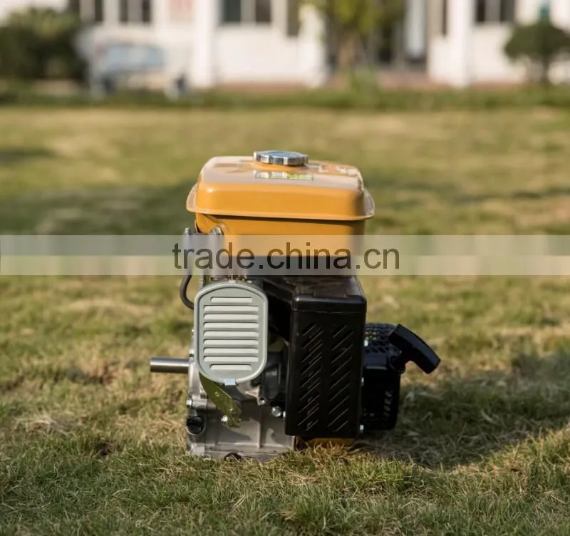 Factory Direct Sale High Quality Same As Robin EY20 5.5HP Gasoline Engine