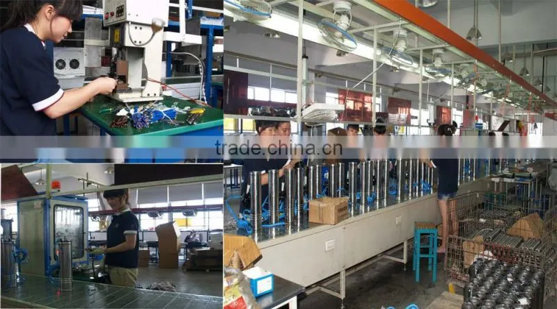 6SP 30 electric submersible fountain pump