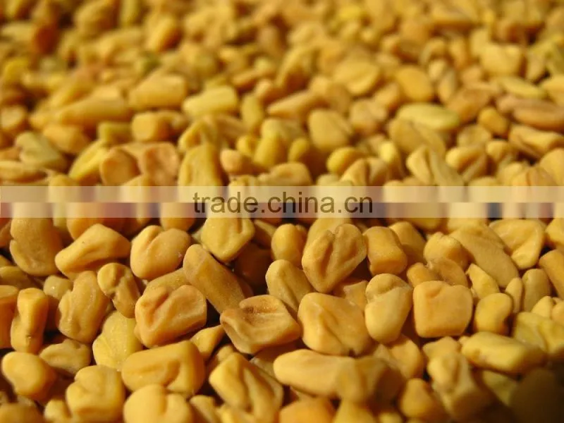 High Grade Fenugreek Seed