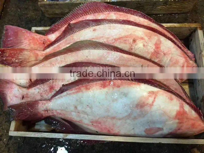 New Arrival Frozen Fish Flounder