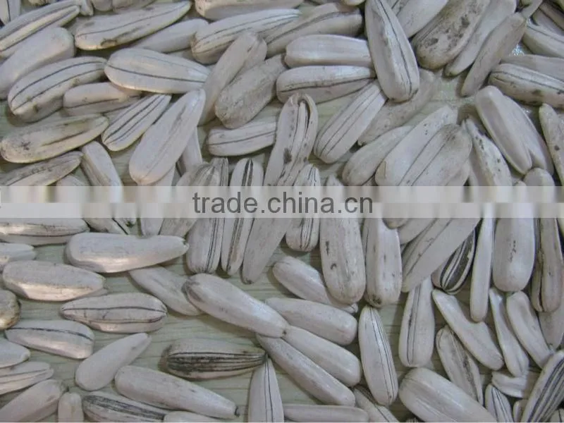 2014factory low price white sunflower seed
