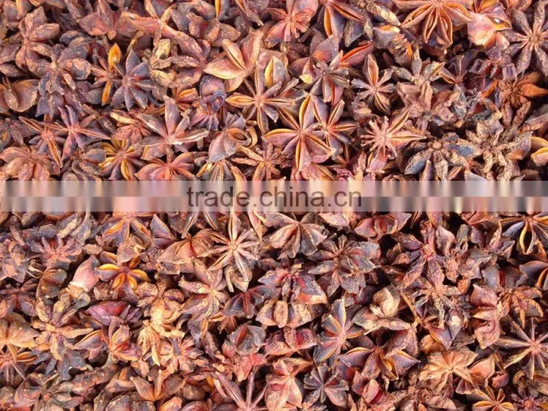 VIETNAMESE SUPPLIER OF BEST QUALITY AUTUMN STAR ANISEED