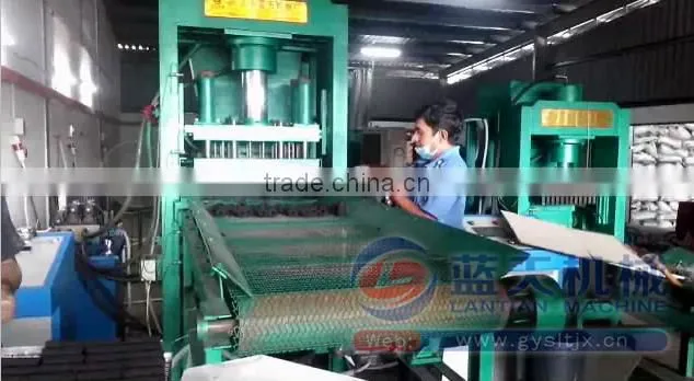 Hydraulic Press Coconut Coal Tablet Press Machine