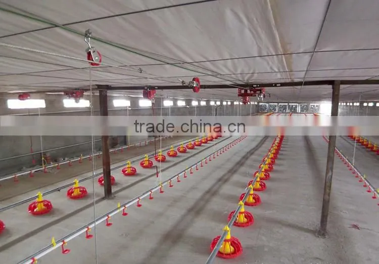 poultry automatic feeding system
