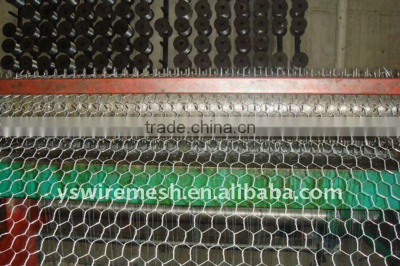 keep poultry galvanized hexagonal fencing