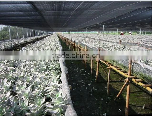 HDPE Green sun shade net for agriculture