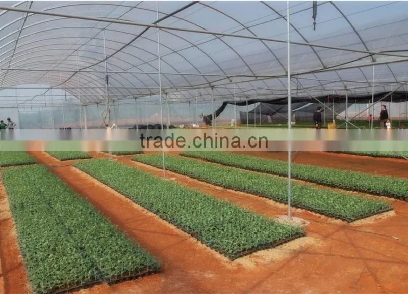 Good daylighting glasshouse big shed,greenhouse for agriculture,frp hothouses from alibaba suppliers