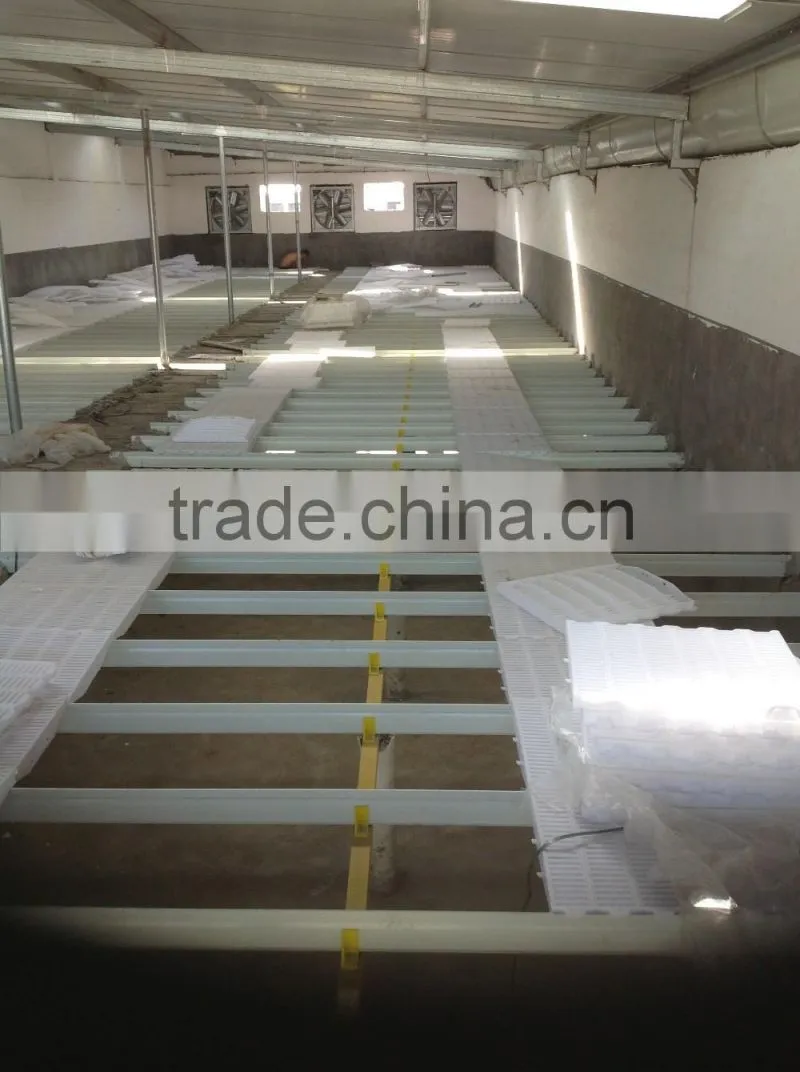 pigs equipment / pigs farm floor /piglet support beam