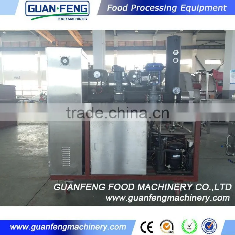 Professional Fruit Lyophilizer Equipment Industrial Lemon Drying Machine