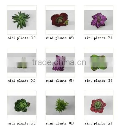 CHY040920 Selling Artificial Plants Succulent tropical Plant Artificial Desert Plants