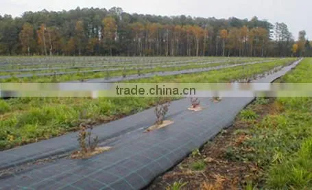PP Woven Fabric