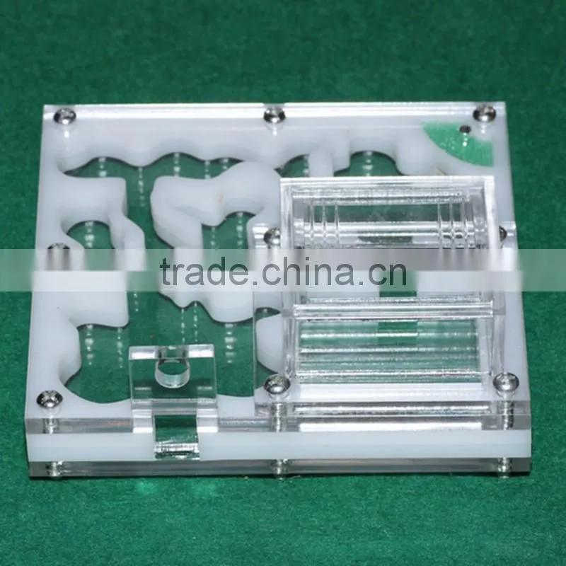 Acrylic Reptile Display Case