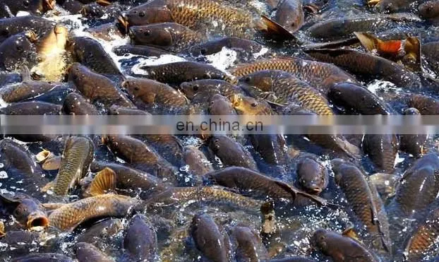 Aquaculture equipment for fish pond aerator/pond aerator/ impeller aerator