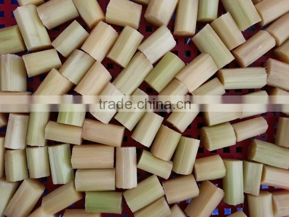 Fresh Sweet Sugarcane from Vietnam/ Sweet Cane Sugar
