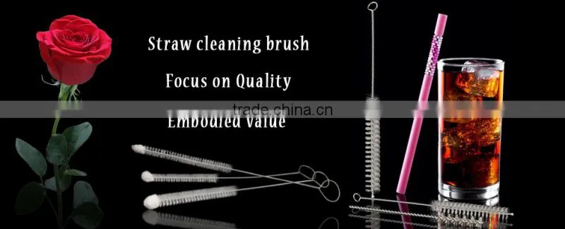 Nylon Straw Cleaners Cleaning Brush for Drinking Pipe Stainless Steel Glass