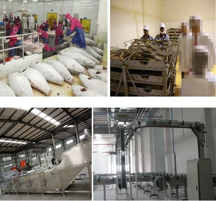 Genyond Factory Small Scale Tuna Fish Canning Processing Machine Canned Tuna in Oil Production Line Processing Plant