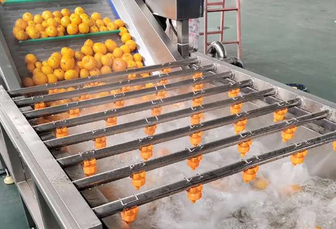 Crawfish Washing Machine Complete Sets of Crawfish Cleaning Cooking Processing Equipment Crawfish Production Line