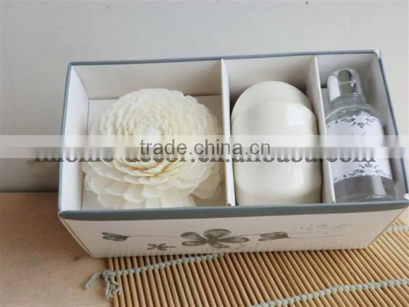 Popular 100ml home fragrance aroma reed diffuser