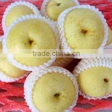 Chinese Fresh Ya Pear