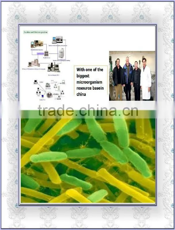 SUKAST bacteria for waste treatment in septic tank