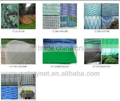 contruction scaffolding safety net series 160g/SQ Max.6M