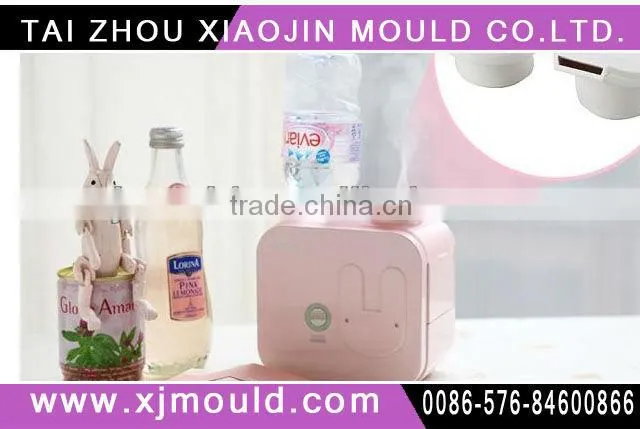 2Plastic injection Mold small household appliances (OEM)