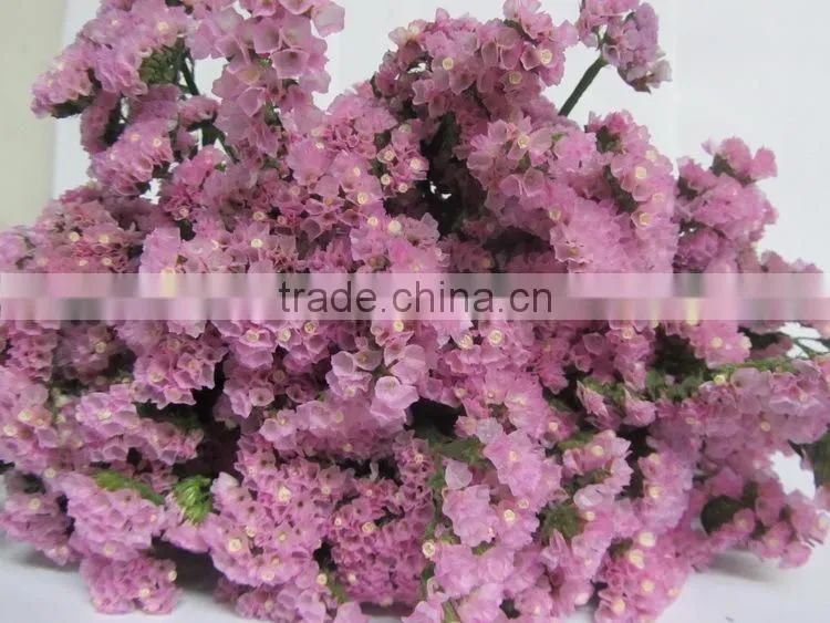 Reasonable price best selling myosotis bouquet