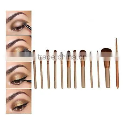 12PCS Cosmetic Professional Brush Set with Metal Box with Logo OEM / ODM are accepted