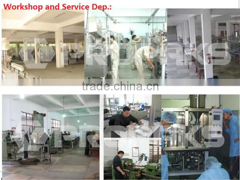 BNSGX50 Screw Capping Machine