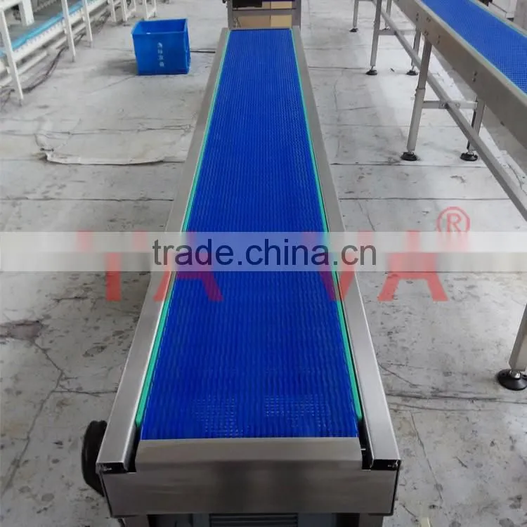 Meat Industry modular belt conveyor system line