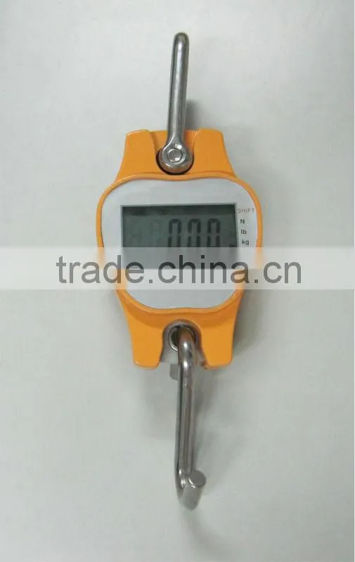 Small Weighing Scale/Crane Scale