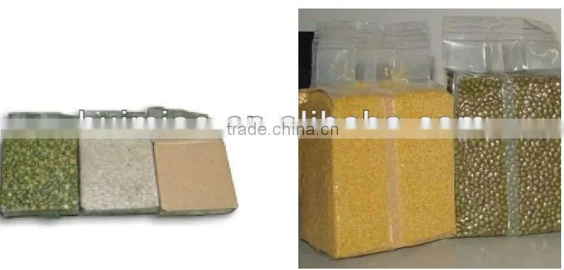 auto single Chamber vacuum packing machine