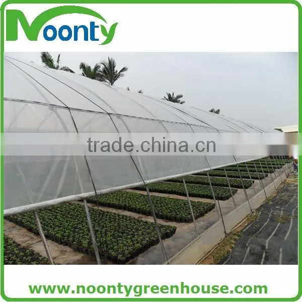 Single span roof vent tropical climate greenhouse